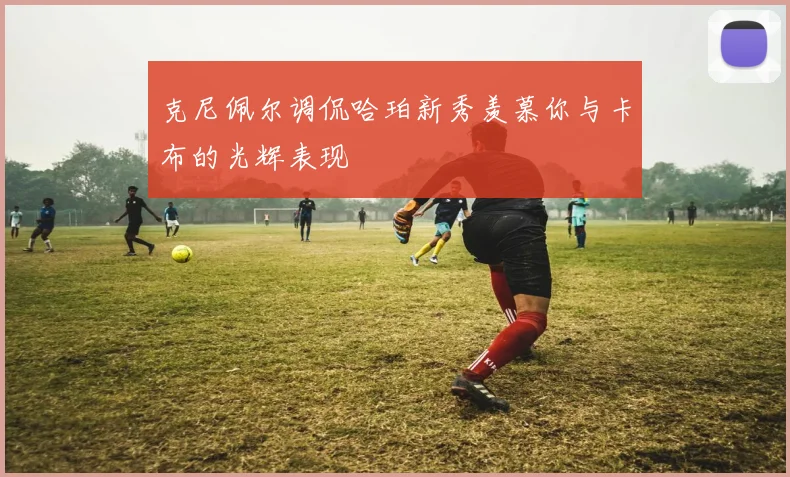 克尼佩尔调侃哈珀新秀羡慕你与卡布的光辉表现