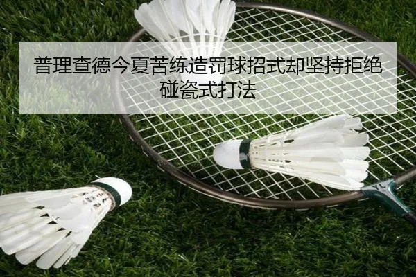 普理查德今夏苦练造罚球招式却坚持拒绝碰瓷式打法（HBSPORTS）